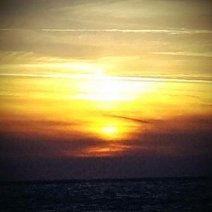 Meet your Posher, Charles